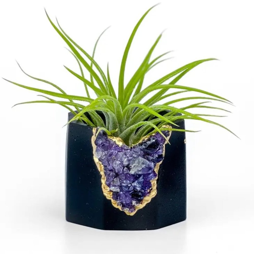 Black Amethyst Geode Planter, Air Plant Holder